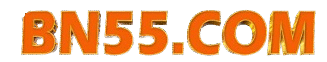 bn55 game logo